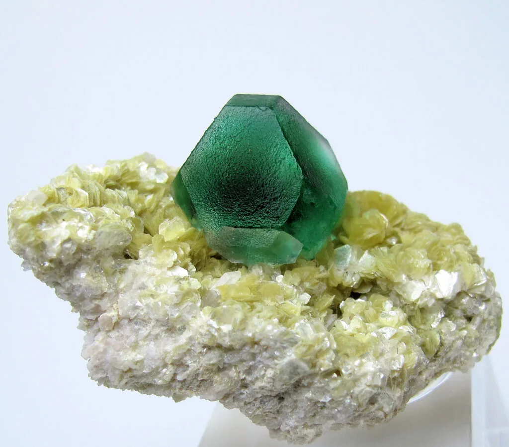can fluorite go in water